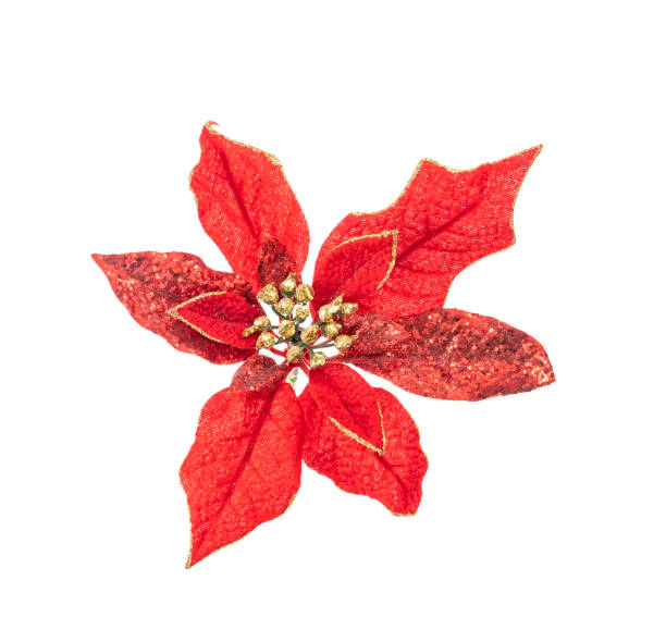 istock Christmas Tree flower Decoration red Glossy Ornament Set White Isolated 2045726322