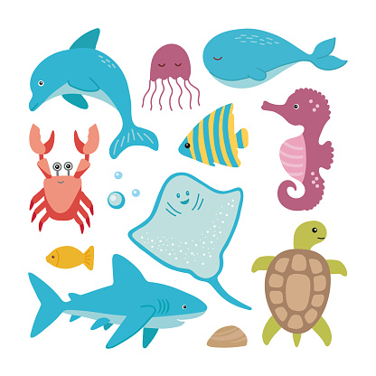 Vector marine life collection with dolphin, shark, stingray, crab, jellyfish, turtle, and seahorse