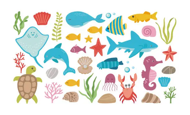 Vector illustration of Vector marine life set with dolphin, shark, stingray, crab, jellyfish, turtle, and seaweed