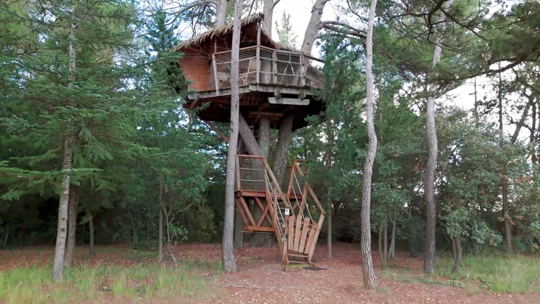 Slow establishing shot of a handmade treehouse surrounded by a forest