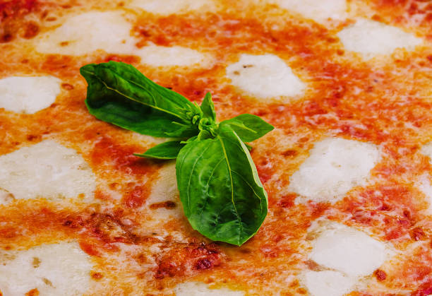 istock Neapolitan pizza on a cream sauce 2045743685