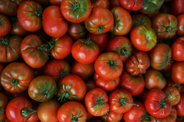 istock Pile of tomatoes 2045745820