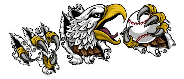 Vector illustration of Bald Eagle Hawk Ripping Claw Baseball Ball Mascot