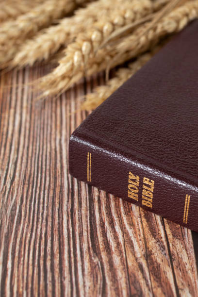 istock Holy bible book with ripe wheat on wooden table 2045774330