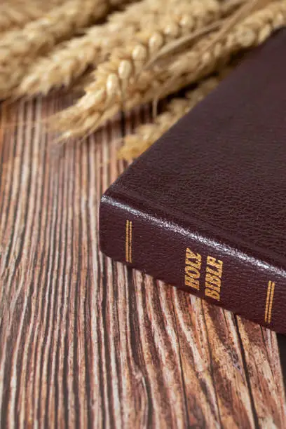 Holy bible book with ripe wheat on wooden table. Christian biblical concept of spiritual harvest, wave sheaf offering, and blessings by God Jesus Christ. Selective focus.