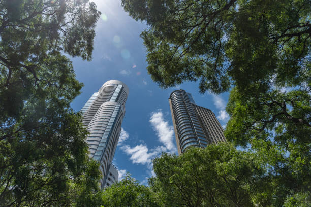 Puerto Madero's business district, where sleek skyscrapers inspire confidence and success overlooking the water.