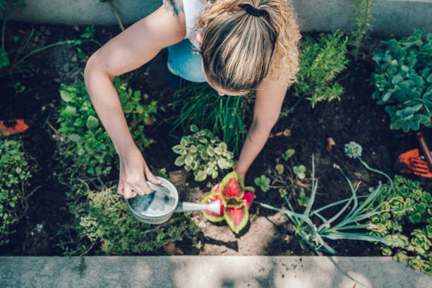 istock women pouring plant with water can 2045777522