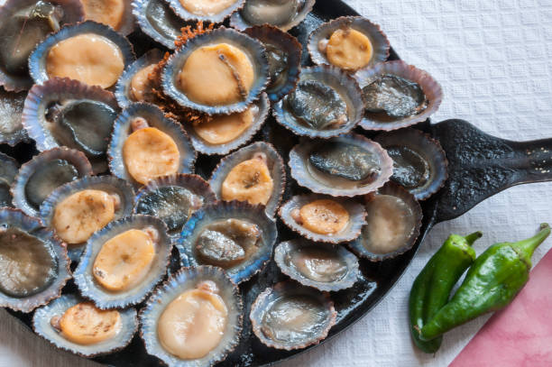 Pan with roasted limpets