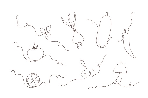 Line fresh vegetables. Hand drawn monoline vector illustrations for heathy menu, diet