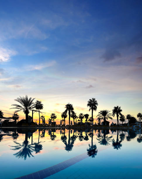 istock Large swimming pool and palm trees during sunset at beach 2045855537