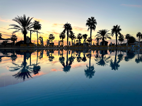 Close up large swimming pool and palm trees during sunset at seaside of Antalya, Turkey