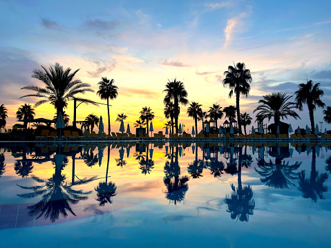 Close up large swimming pool and palm trees during sunset at seaside of Antalya, Turkey