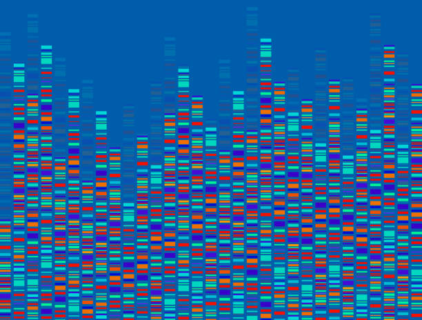 Dna test infographic. Dna test, barcoding, genome map. Graphic concept for your design Dna test, Infographic, Barcoding, Genome map, Abstract, Colorful, Science dna test stock illustrations