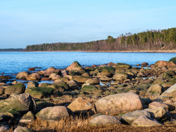 Sunset Serenity: Tranquil Moments in Veczemju Klintis