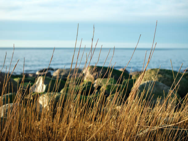 Dusk's Delight: Coastal Tranquility of Veczemju Klintis