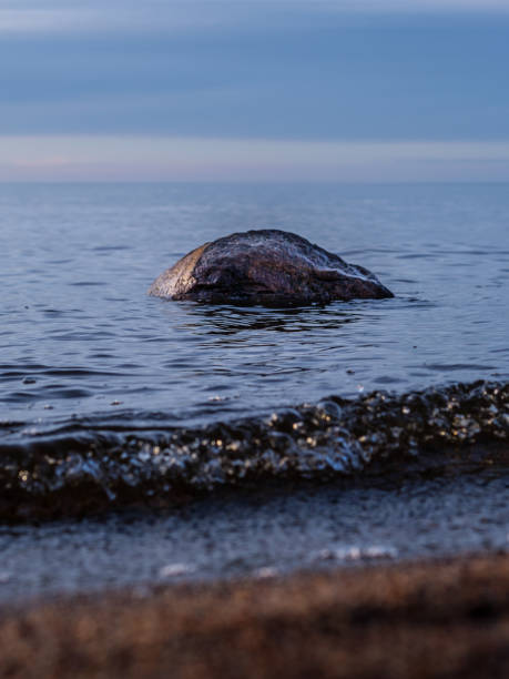 istock Twilight's Sentinel: Lone Stone Amidst Veczemju Klintis Sunset 2045875978
