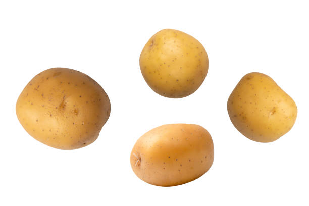 istock A group of fresh tasty potato isolated on white background. 2045879152