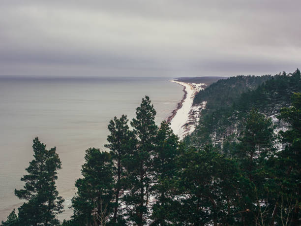 Where the icy waves meet the rugged rocks.