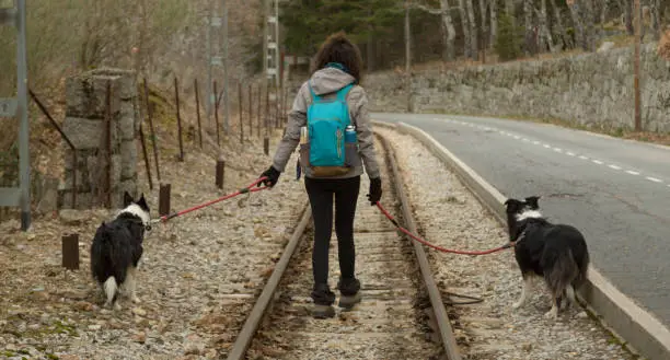 Photo of Woman with two dogs walking along the train tracks at the Camorritos station in Cercedilla, Madrid