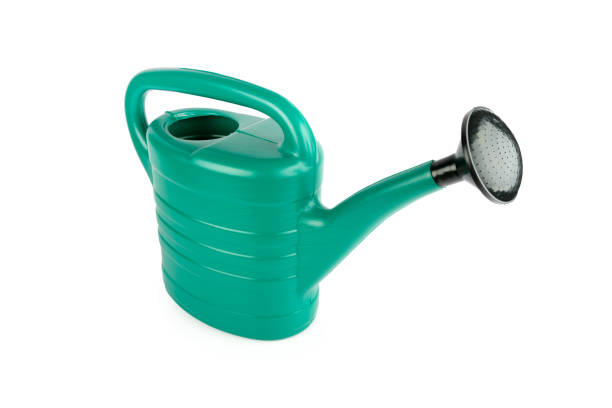 istock Garden watering can isolated on white. 2045935316