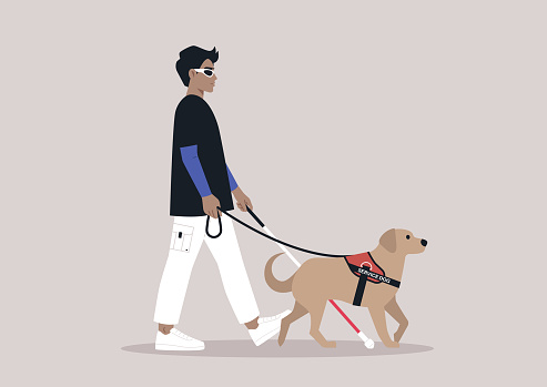 A young person with visual impairment walks confidently with a white cane and their guide dog by their side