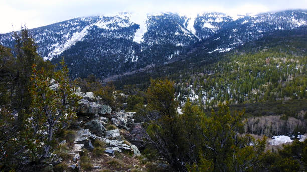 istock Great Basin National Park, Nevada, United States 2045936908