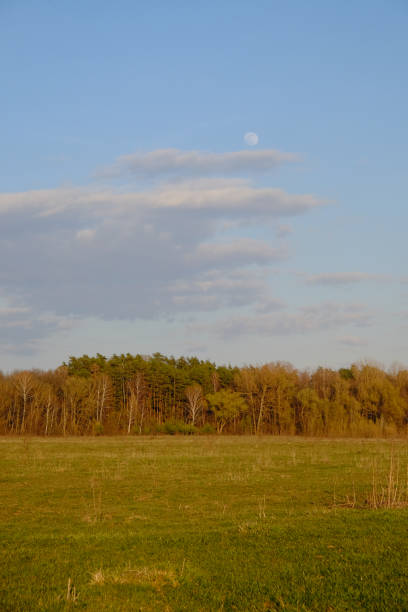 istock Cloudy evening sky over a beautiful autumn forest. Landscape. 2045941879