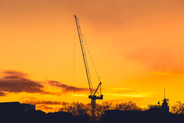 Panoramic view of the sunset with a crane. Copy space.