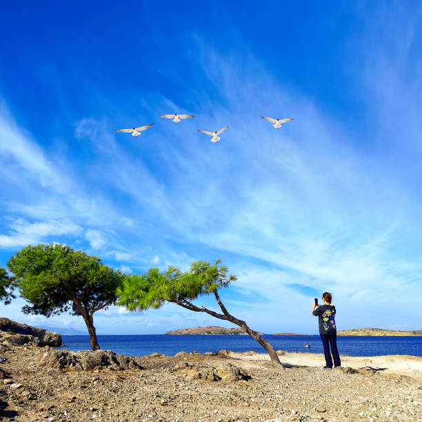 Caucasian single woman enjoying outdoor freshness in seaside landscape
