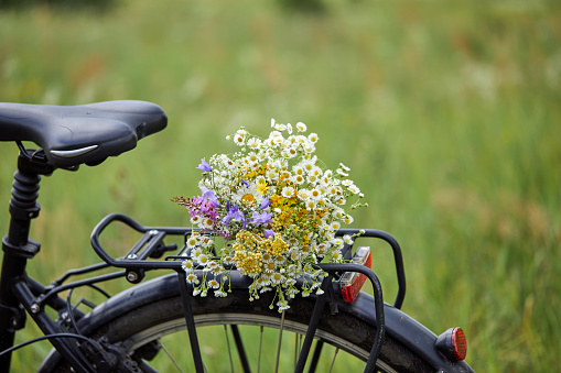 A beautiful bouquet of wild flowers on a mountain bike