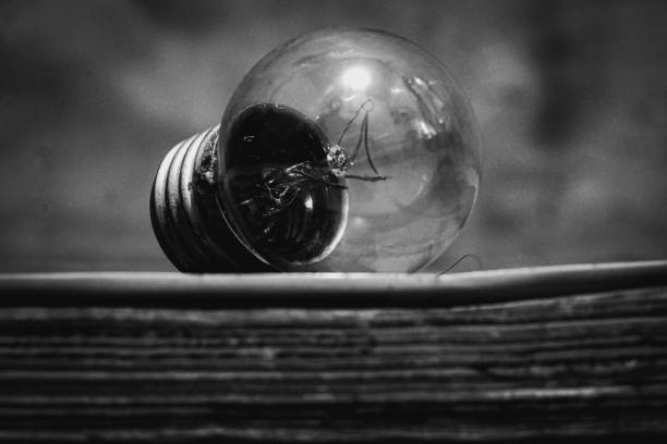 Close up A glass light bulb on top of a book
