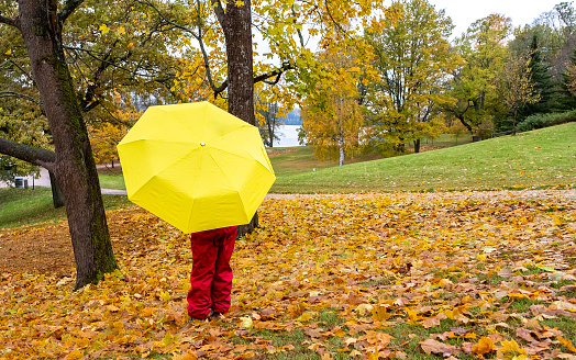 Walk in the park in autumn. Lahti Finland.