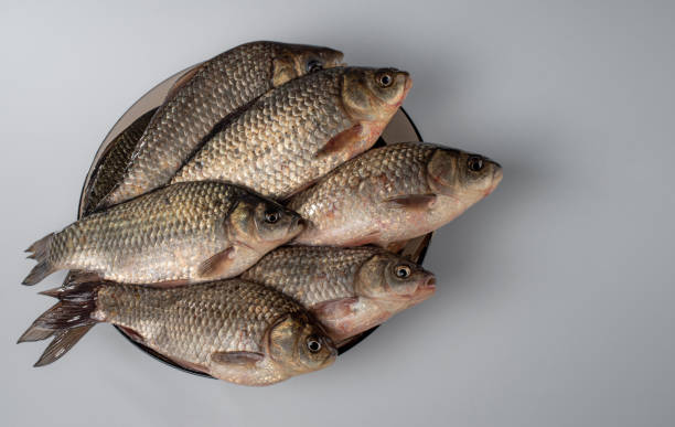 istock Fresh crucians lying on a plate, on a gray background. 2046142317
