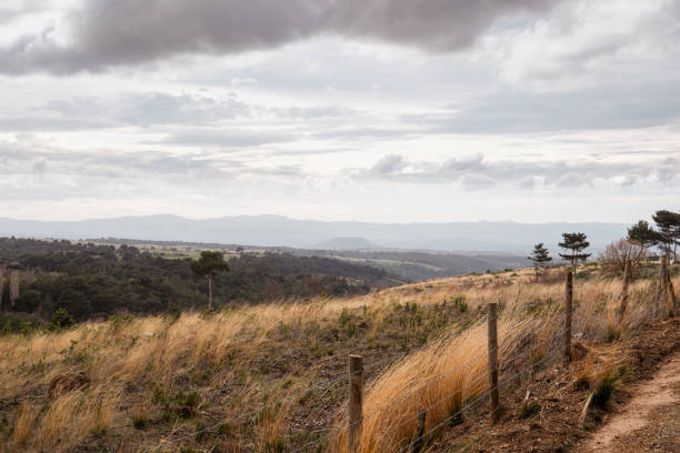 Wired fence on the hill yellow grass steppe cloudy sky