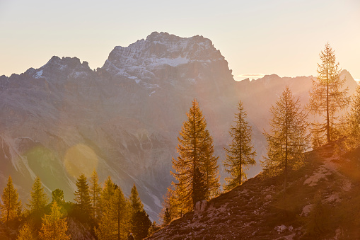 Mountain and Larches trees on a sunny day in the Dolomites, the sky is clear and the sun is flaring  just above the horizon of the mountains