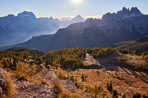 Mountain and Larches trees on a sunny day in the Dolomites, the sky is clear and there are some trees in the foreground