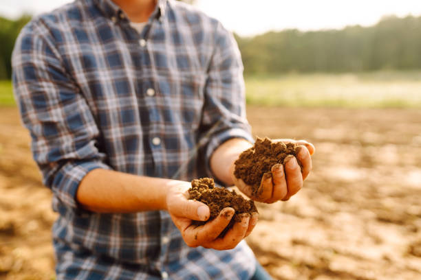 istock Farmer holding soil in hands close-up. 2046218417