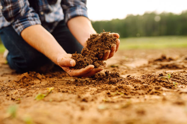 istock Farmer holding soil in hands close-up. 2046218438