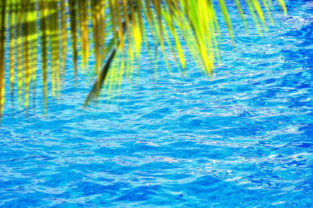 Tropical resorts hotel swimming pool overlooking sea