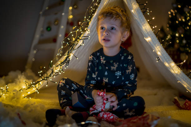 istock Happy boy playing at home in a tent 2046247623
