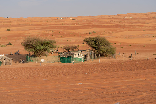 Wahiba desert in Oman, a pen for camel and other domestic animals.