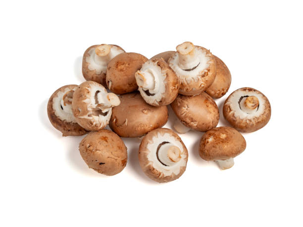 istock Champignon mushrooms on a white background. . 2046272198