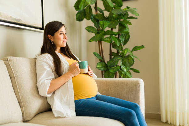 istock Attractive expecting mother relaxing looking happy at home 2046274296