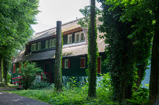 Wusterhausen, Brandenburg - Germany - 06-28-2022: Quaint boathouse with thatched roof and with trees in front of the facade made of wood and lots of green plants around outside.