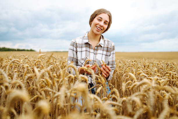 istock Young female farmer in her hands  in a wheat field 2046337822