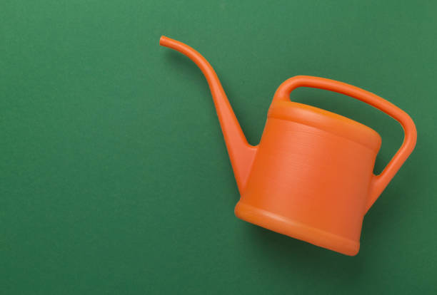 istock Watering can on color background, top, view 2046339938