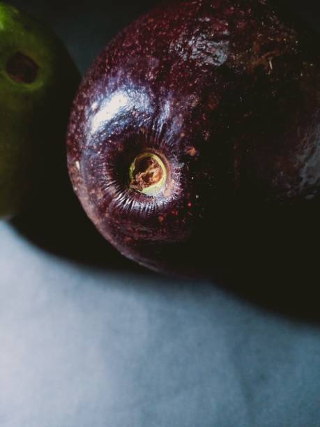 fresh avocado on a bamboo pole on a white background