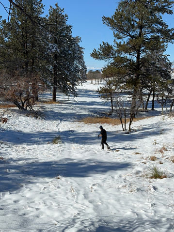 A person snowshoes through a wooded open space after freshly fallen snow.  Pine trees and valleys are in the foreground and the snow-covered mountains of the Rockies are in the background. Colorado open space interweaves with neighborhoods as evidenced by the road visible in the mid-distance.  This easy accessibility to wilderness allows Colorado residents to be active all year round.