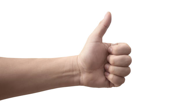 istock hand making the gesture I like on white background 2046441035