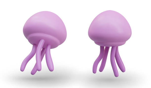 istock Colored realistic jellyfish on white background. Isolated vector images of sea creatures 2046451101